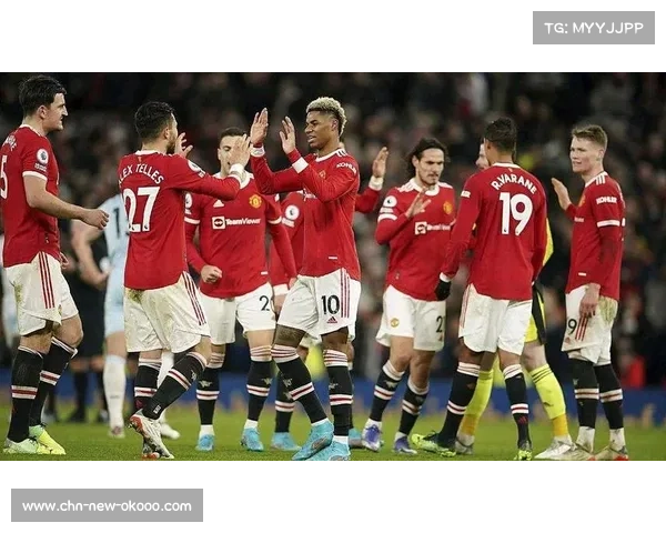 主场积分榜深度解读:阿森纳曼城同积29分领跑,桑德兰主场11战不败